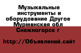 Музыкальные инструменты и оборудование Другое. Мурманская обл.,Снежногорск г.